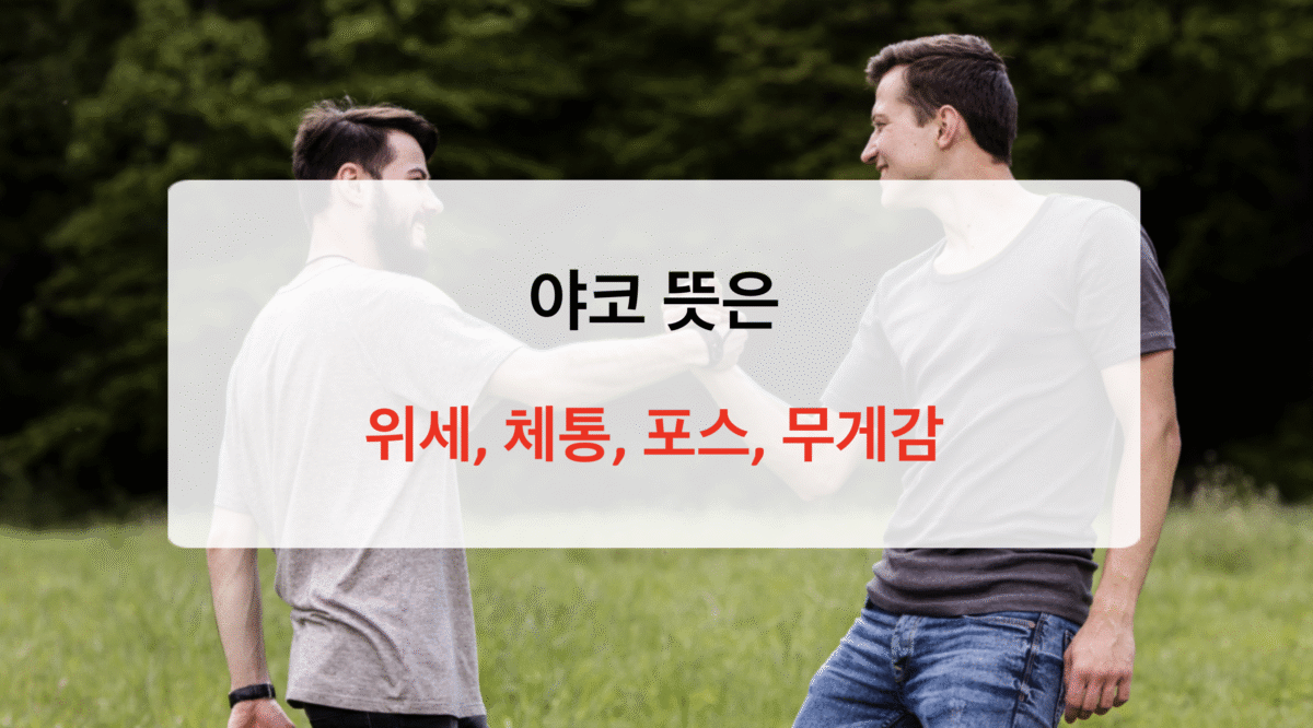야코 뜻, 어원부터 관련 표현까지 한눈에 알아보기
