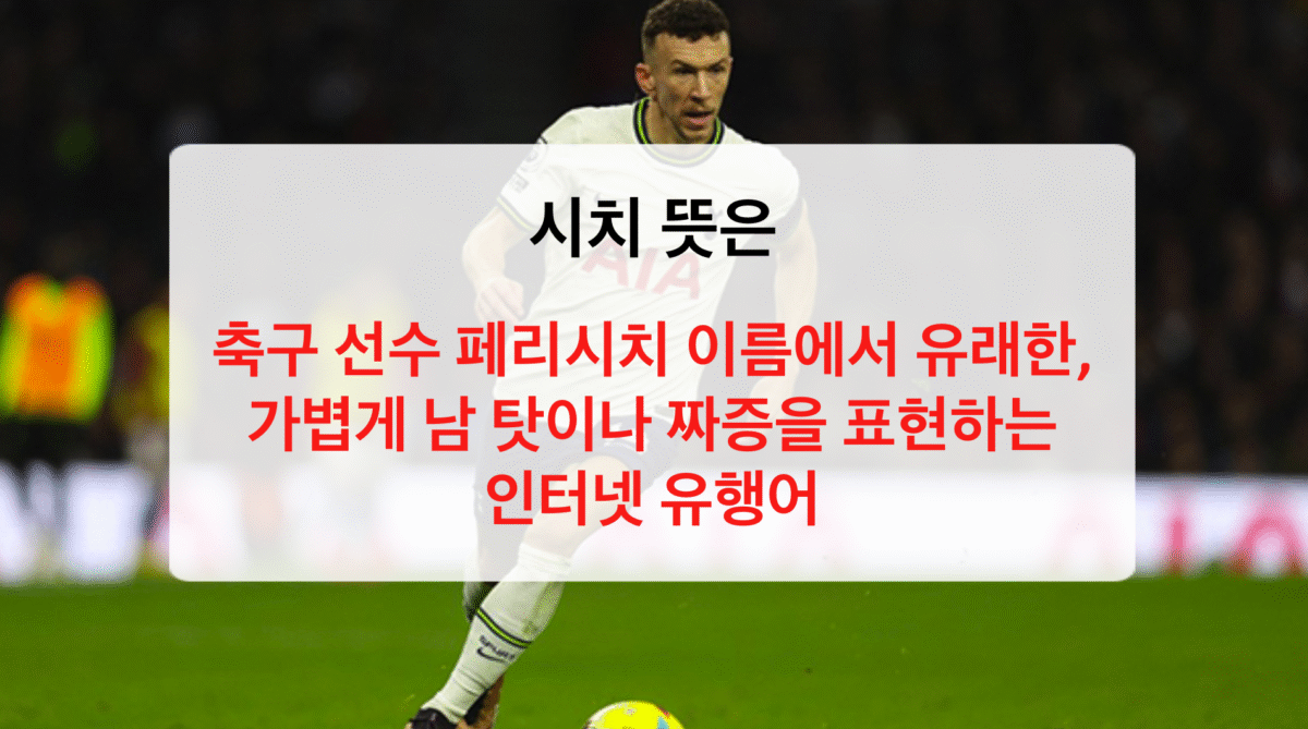 시치 뜻과 유래 : 페리시치 덕분에 탄생한 밈! ‘아오 시치’ 제대로 이해하기
