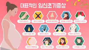 임신 초기 증상 총정리 | 임신 1주차부터 테스트기 확인까지 완벽 가이드