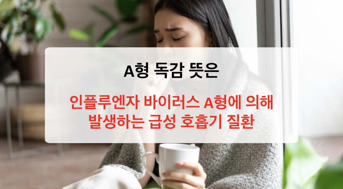 A형 독감 완전 정복 - 증상부터 전염, 치료, B형 독감과의 차이까지 한 번에 이해하기